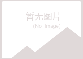 高州夏岚采矿有限公司